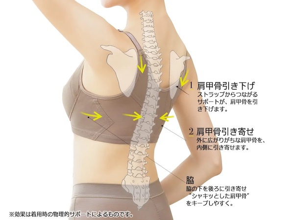 50代女性は積極的に取り入れて！補正下着の種類別の効果＆おすすめ商品