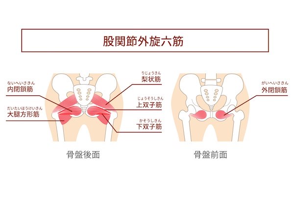 自宅でできる梨状筋ストレッチ3選！周辺の筋肉もケアして骨盤を安定化
