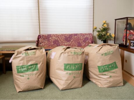 着なくなった服が子どもの命を救う、ハルメク版「古着でワクチン」とは？