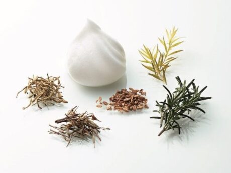 リンス不要で時短！泡立ちがよく、頭皮にやさしい和漢成分も