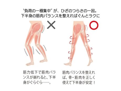 股関節 サポーター