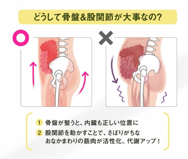 今より12㎏太っていた20代…健康的にやせるカギは「骨盤&股関節」!