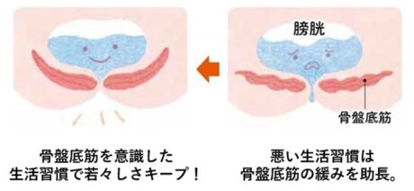 ダメな生活習慣が、加齢による筋力の低下を助長する