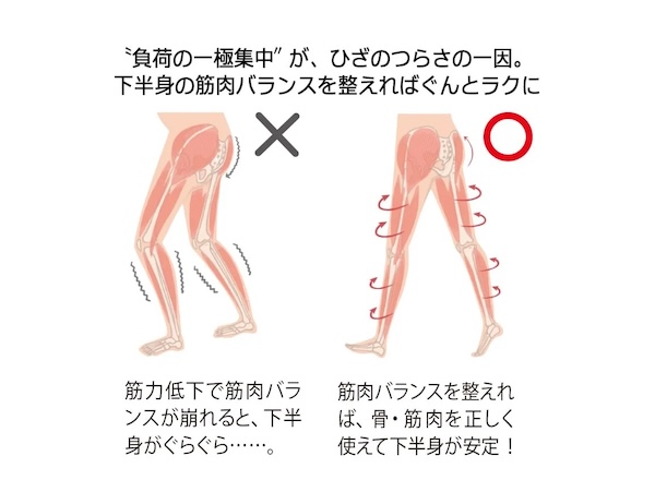 骨・筋肉を正しく支えて下半身が安定！