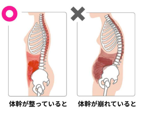50代以降の体形崩れ、一因は「体幹」です！
