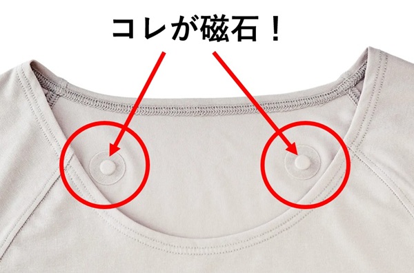 コレが磁石