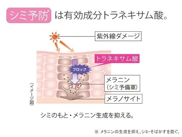 シミ予防は有効成分トラネキサム酸